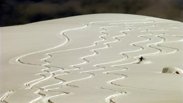 Image for: Smartphone Tickets